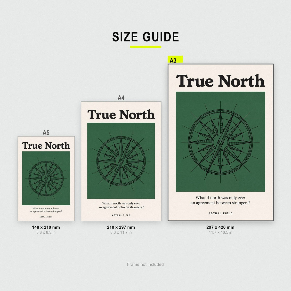 True North Astral Field Compass Art Print