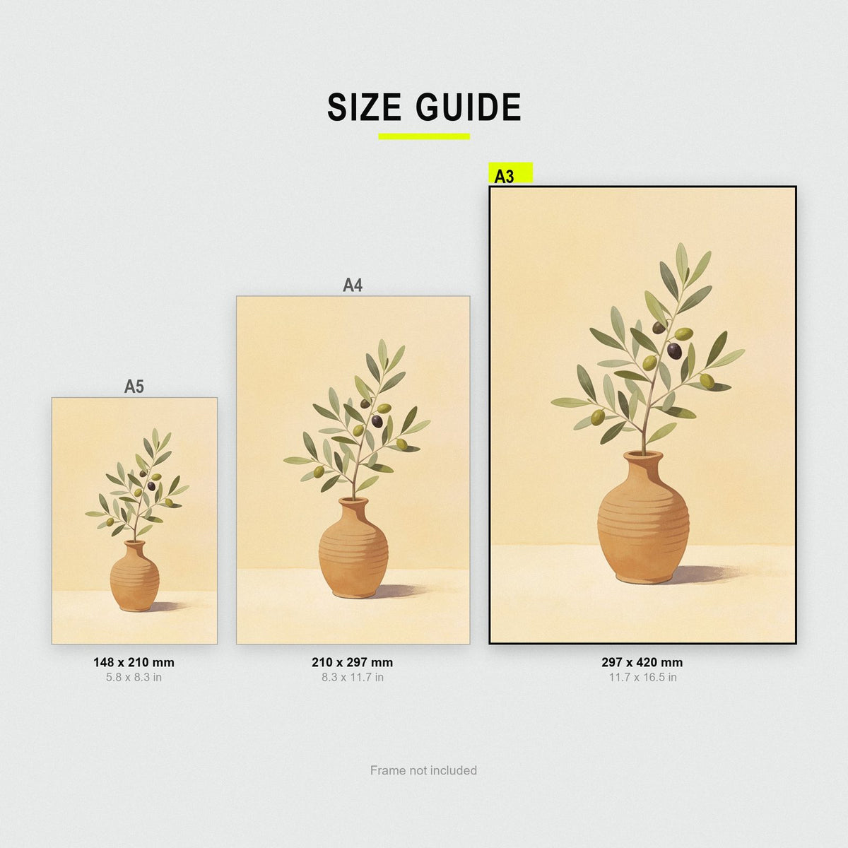 Olive Branch In A Vase Art Print