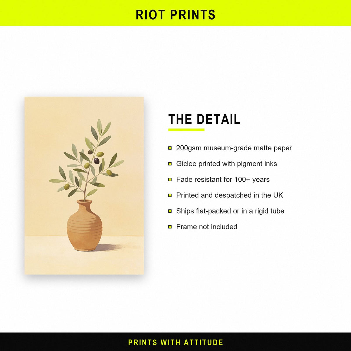 Olive Branch In A Vase Art Print