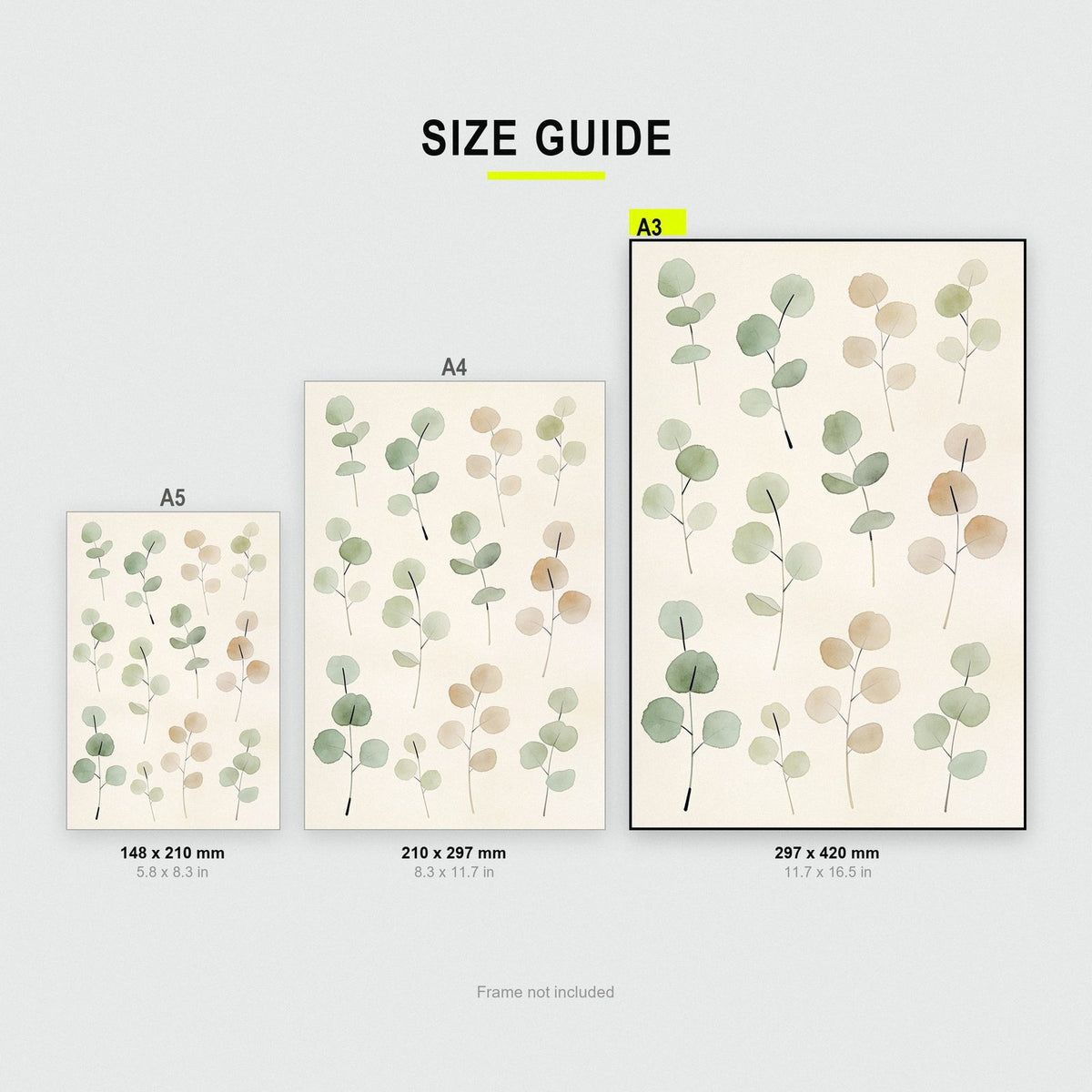 Eucalyptus Sprigs Botanical Art Print
