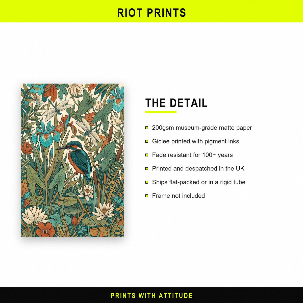 Kingfisher And Reeds Botanical Art Print