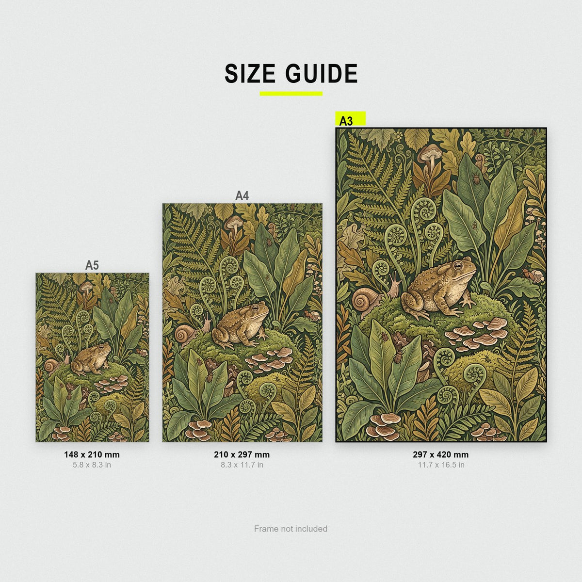 Toad In The Ferns Botanical Art Print