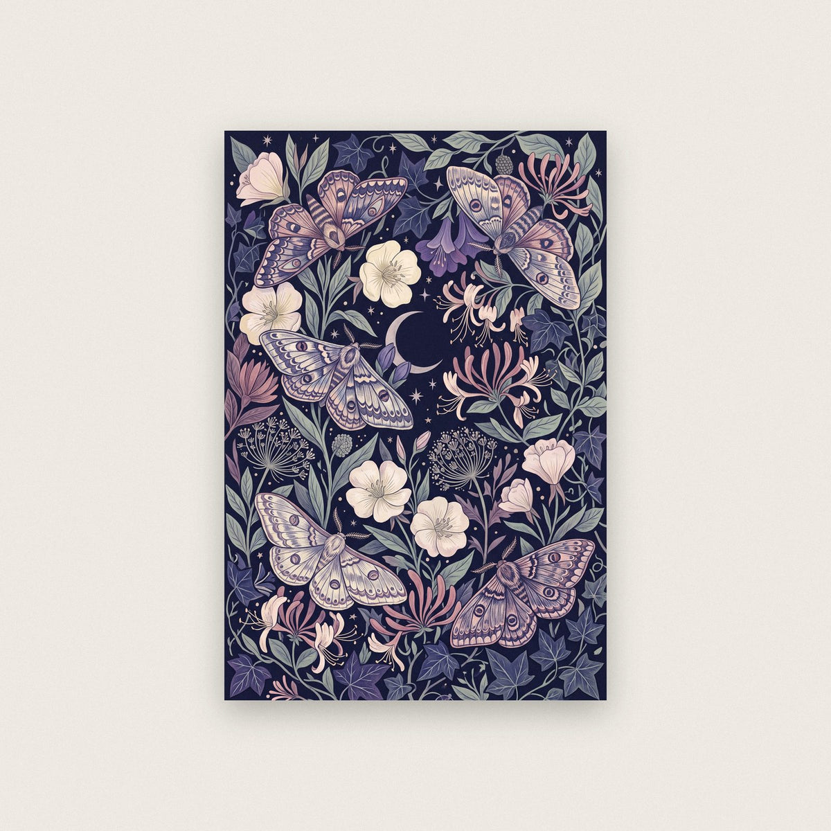 Moths And Night Flowers Botanical Art Print