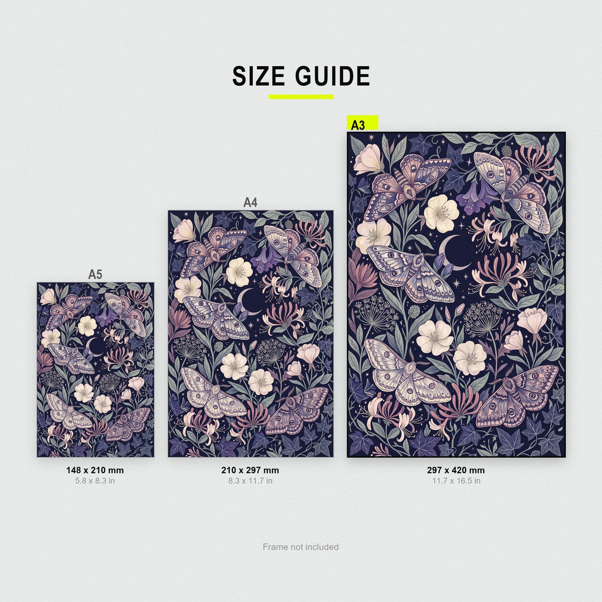 Moths And Night Flowers Botanical Art Print