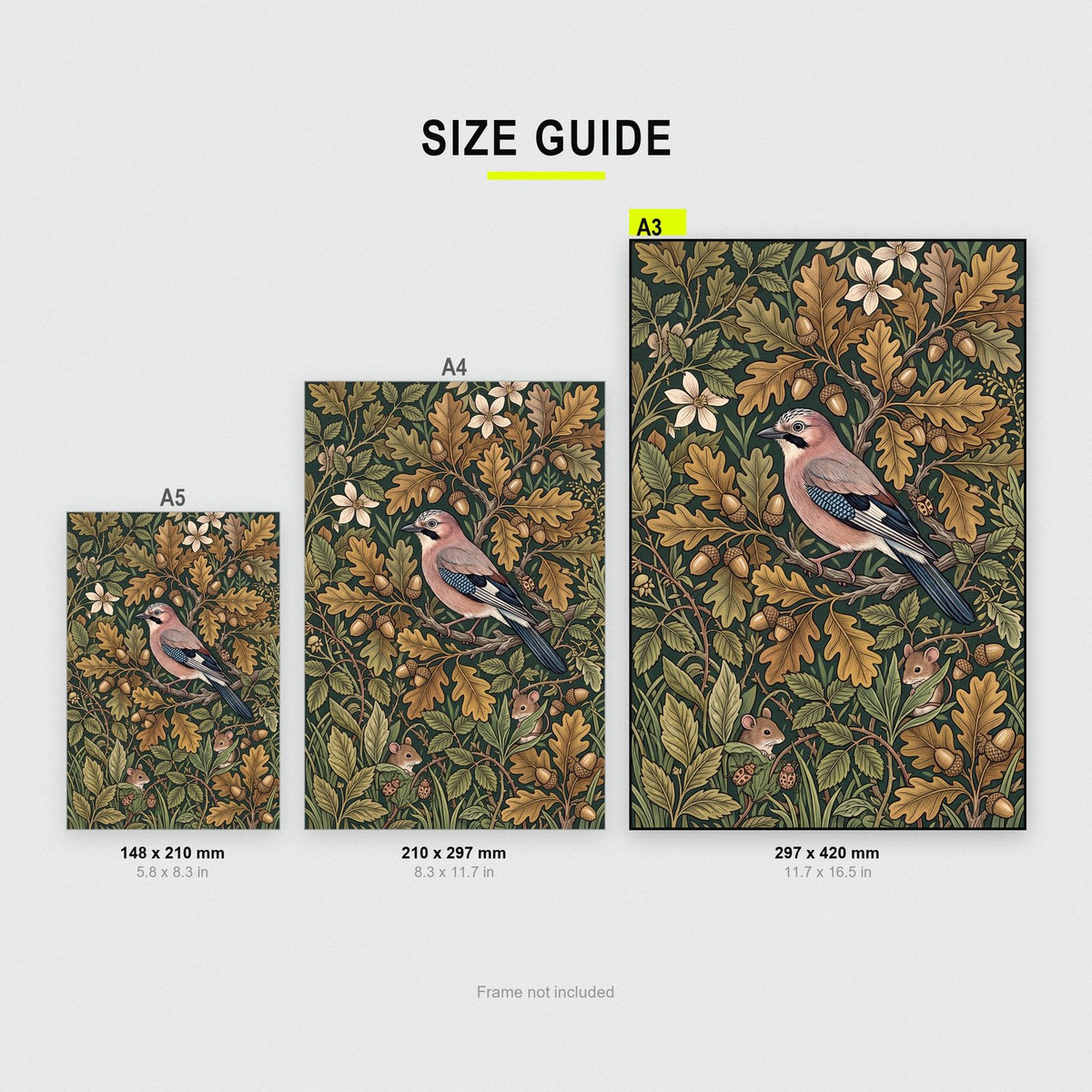 Jay In The Oakwood Botanical Art Print