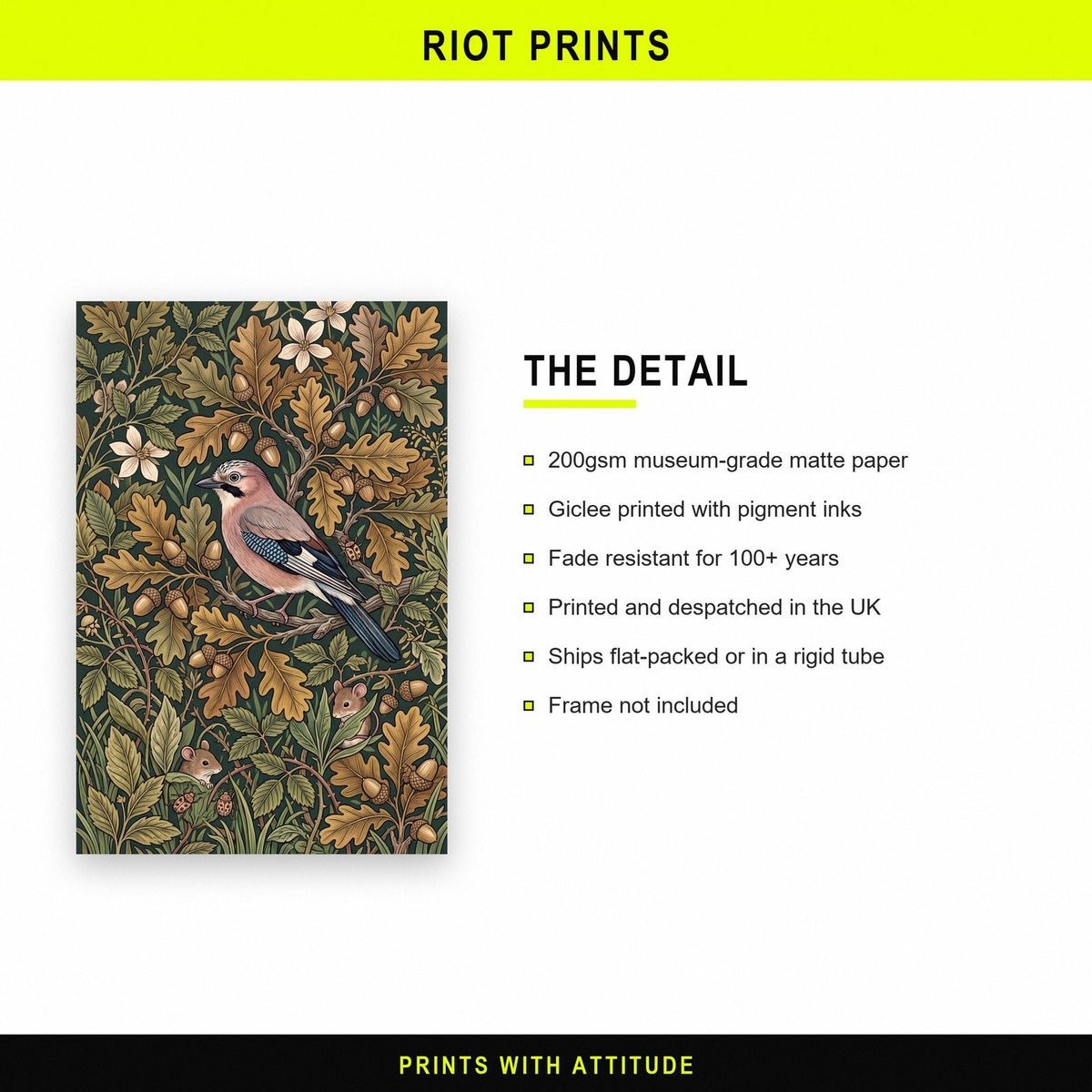 Jay In The Oakwood Botanical Art Print