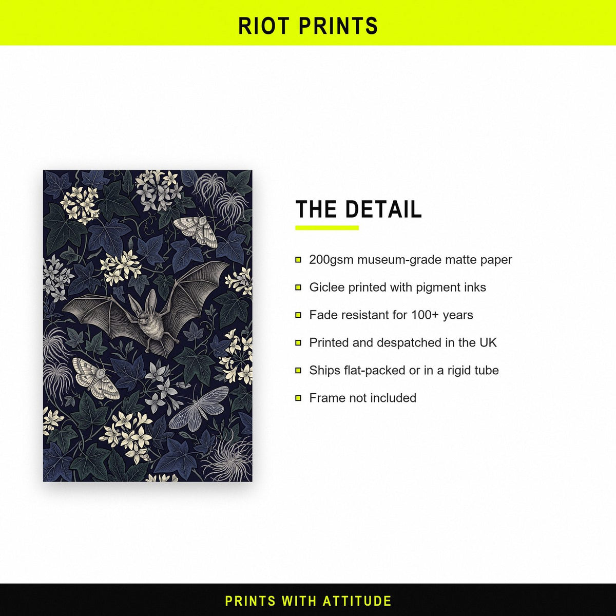 Bat And Night Flowers Botanical Art Print