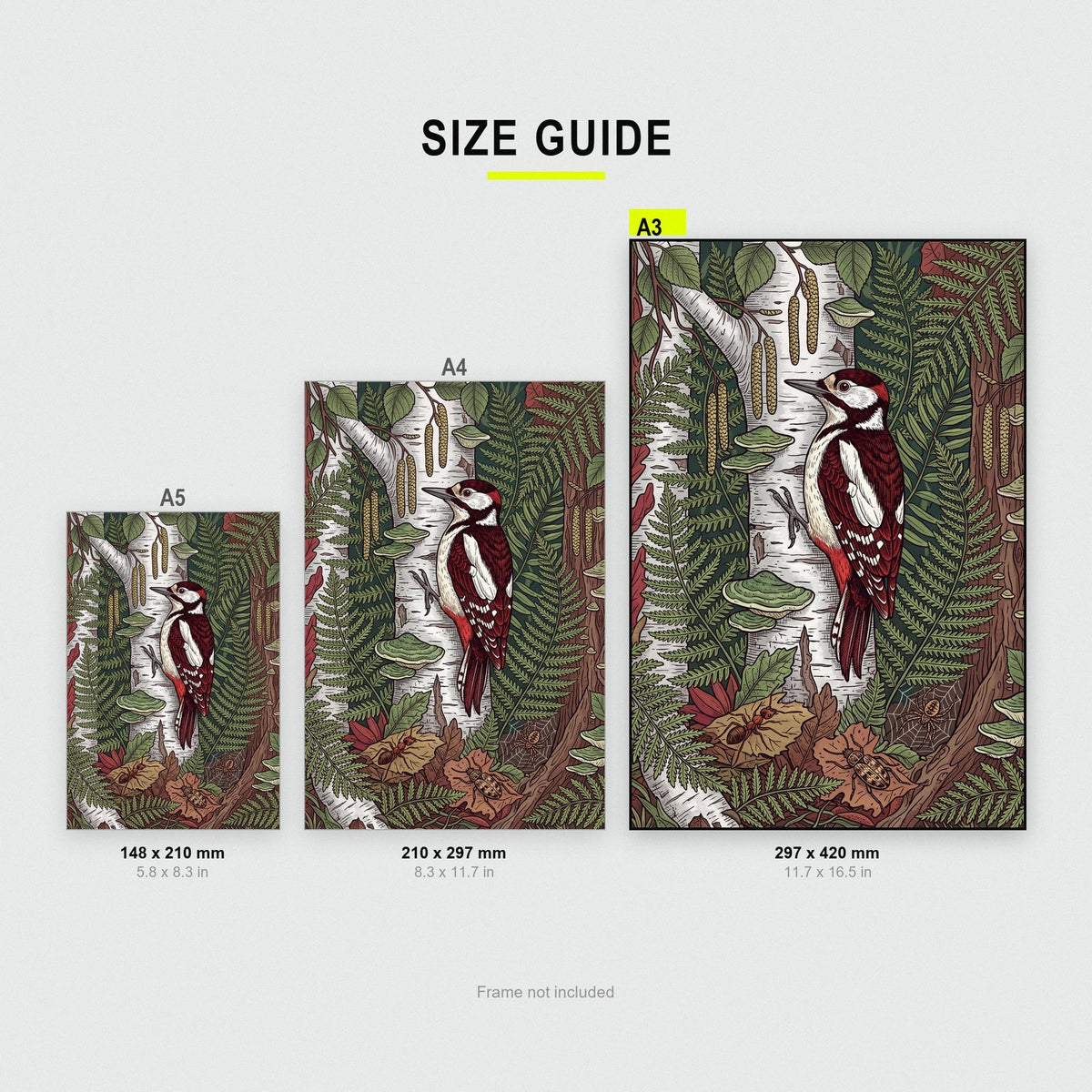 Woodpecker On Silver Birch Botanical Art Print