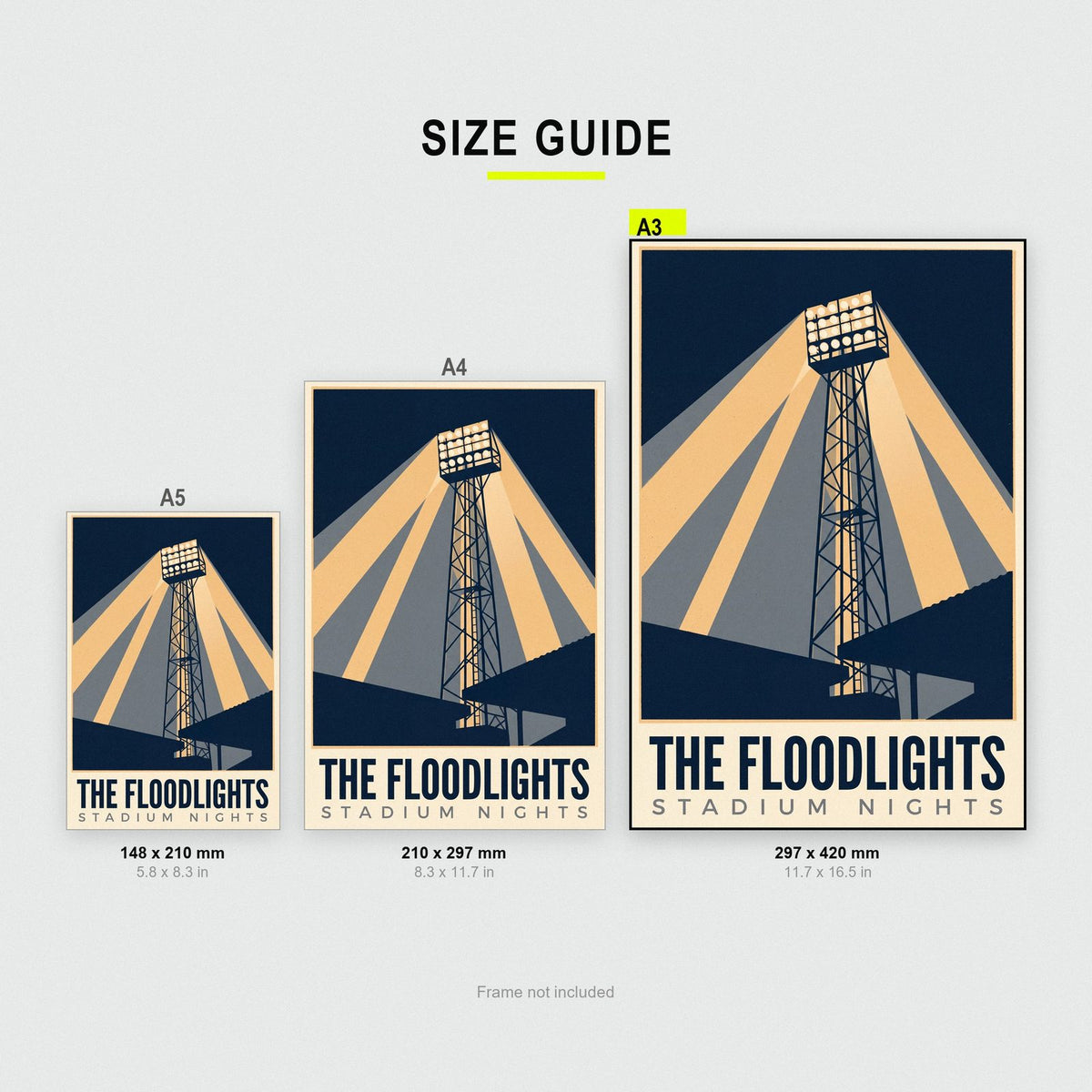 The Floodlights Football Art Print
