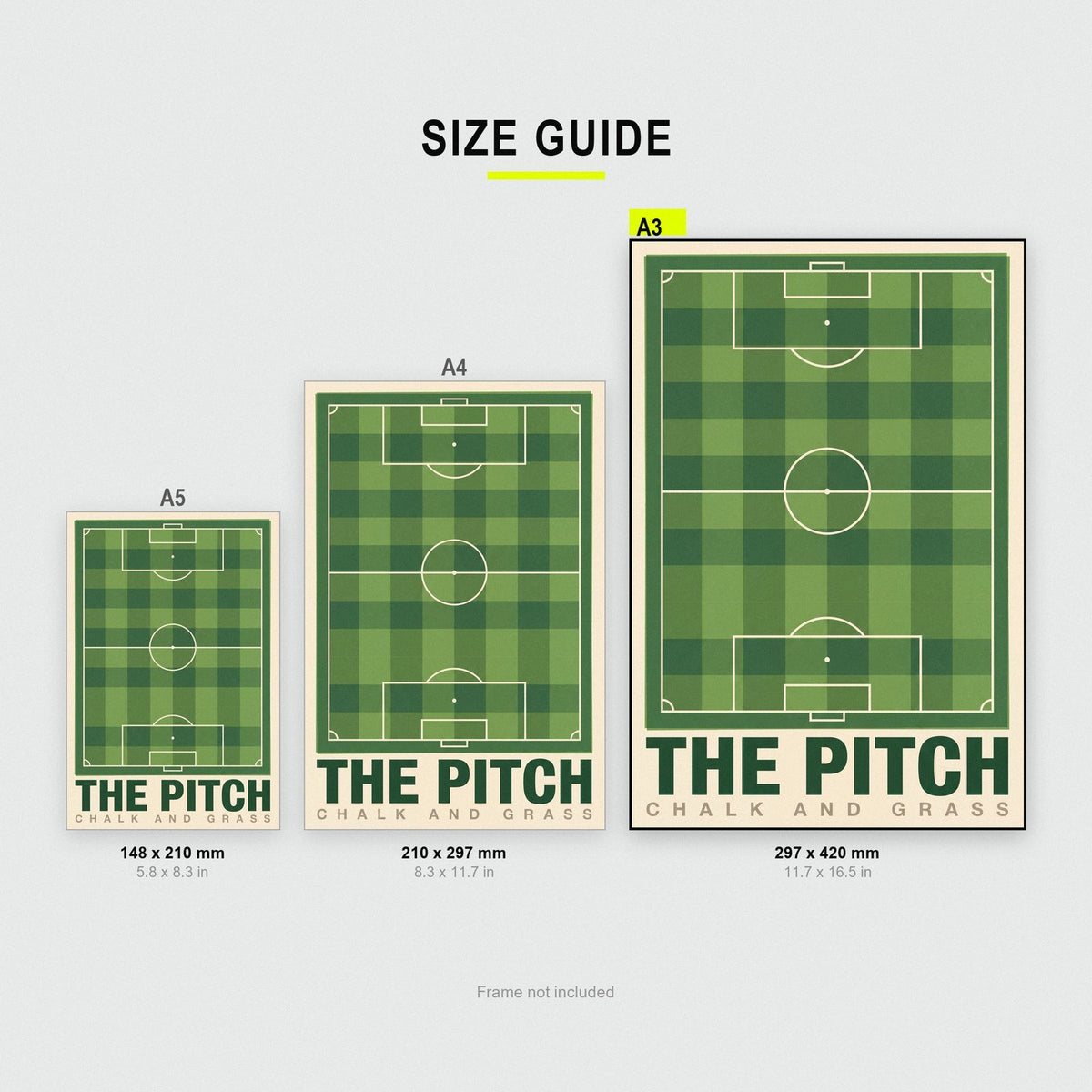 The Pitch Football Art Print