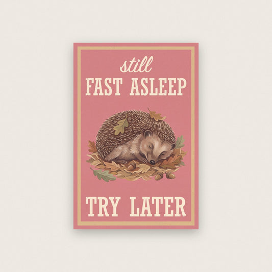 Still Fast Asleep Try Later Hedgehog Art Print