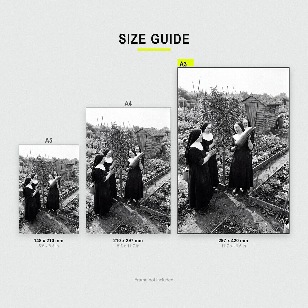 Nuns On The Allotment print size comparison, A5 A4 and A3