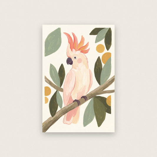The Cockatoo Illustrated Animal Art Print