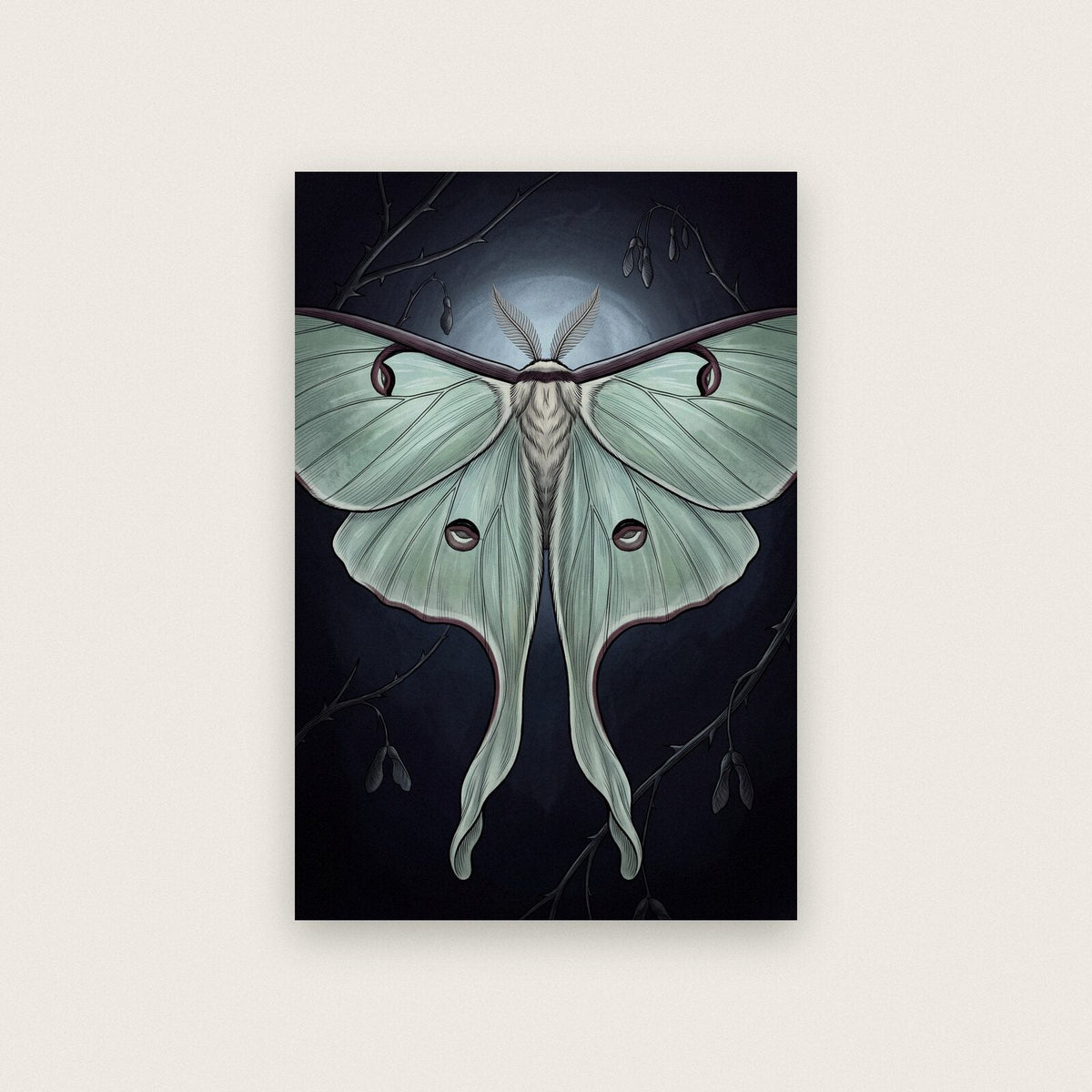 Luna Moth Dark Gothic Art Print