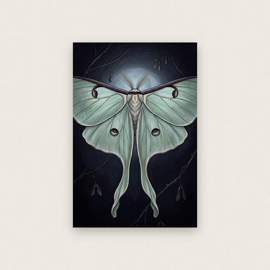 Luna Moth Dark Gothic Art Print
