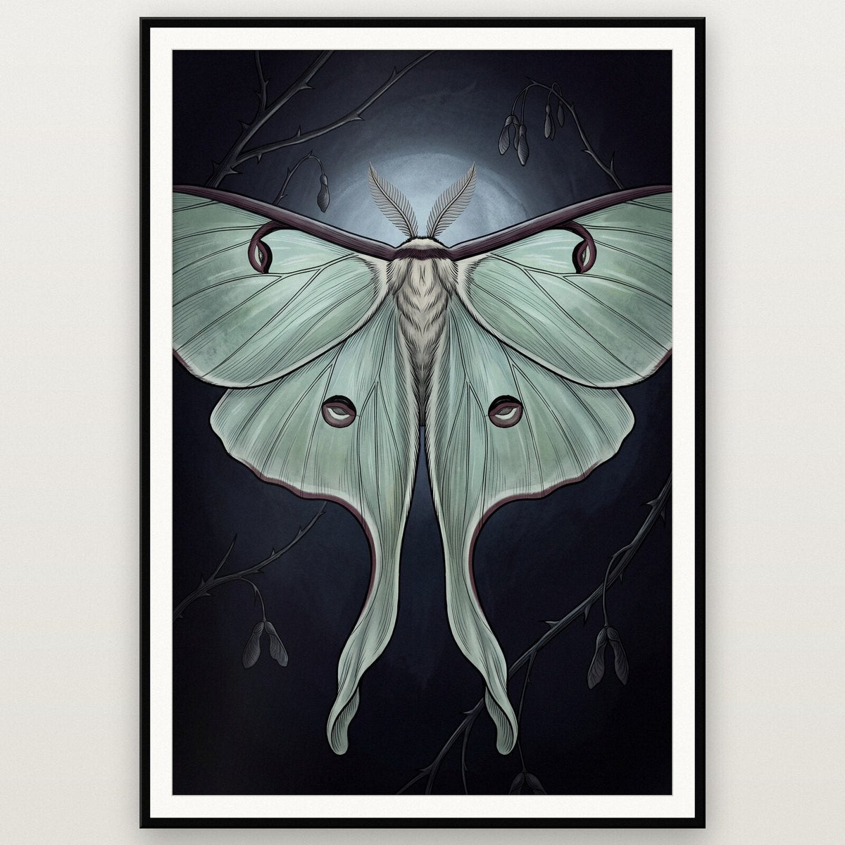 Luna Moth Dark Gothic Art Print