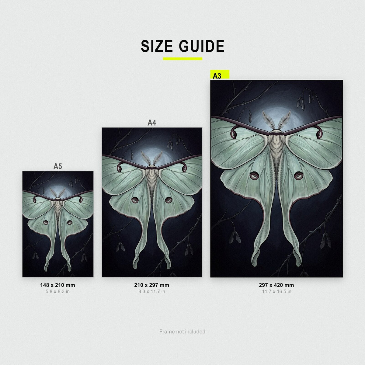 Luna Moth Dark Gothic Art Print