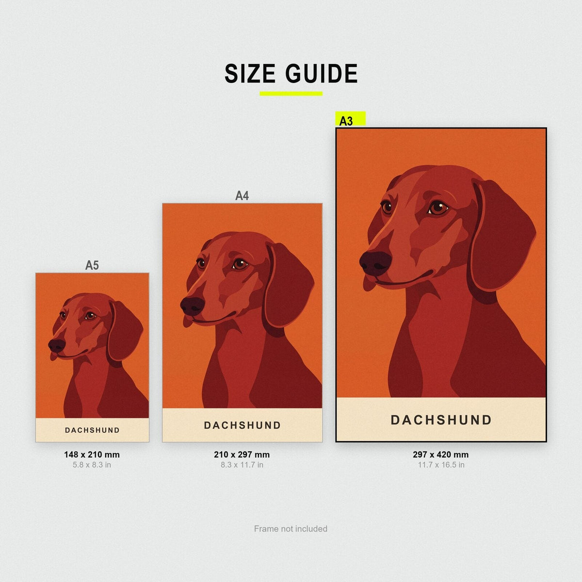 Dachshund Dog Portrait Art Print