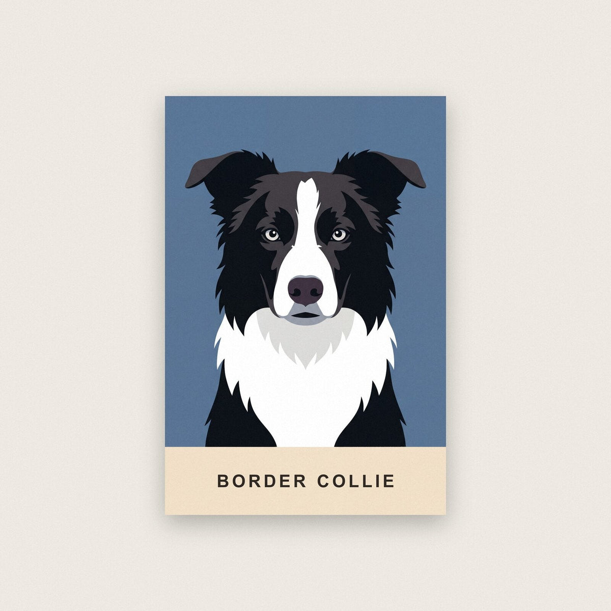 Border Collie Dog Portrait Art Print