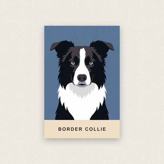 Border Collie Dog Portrait Art Print