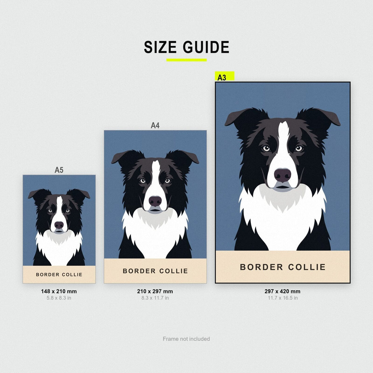 Border Collie Dog Portrait Art Print