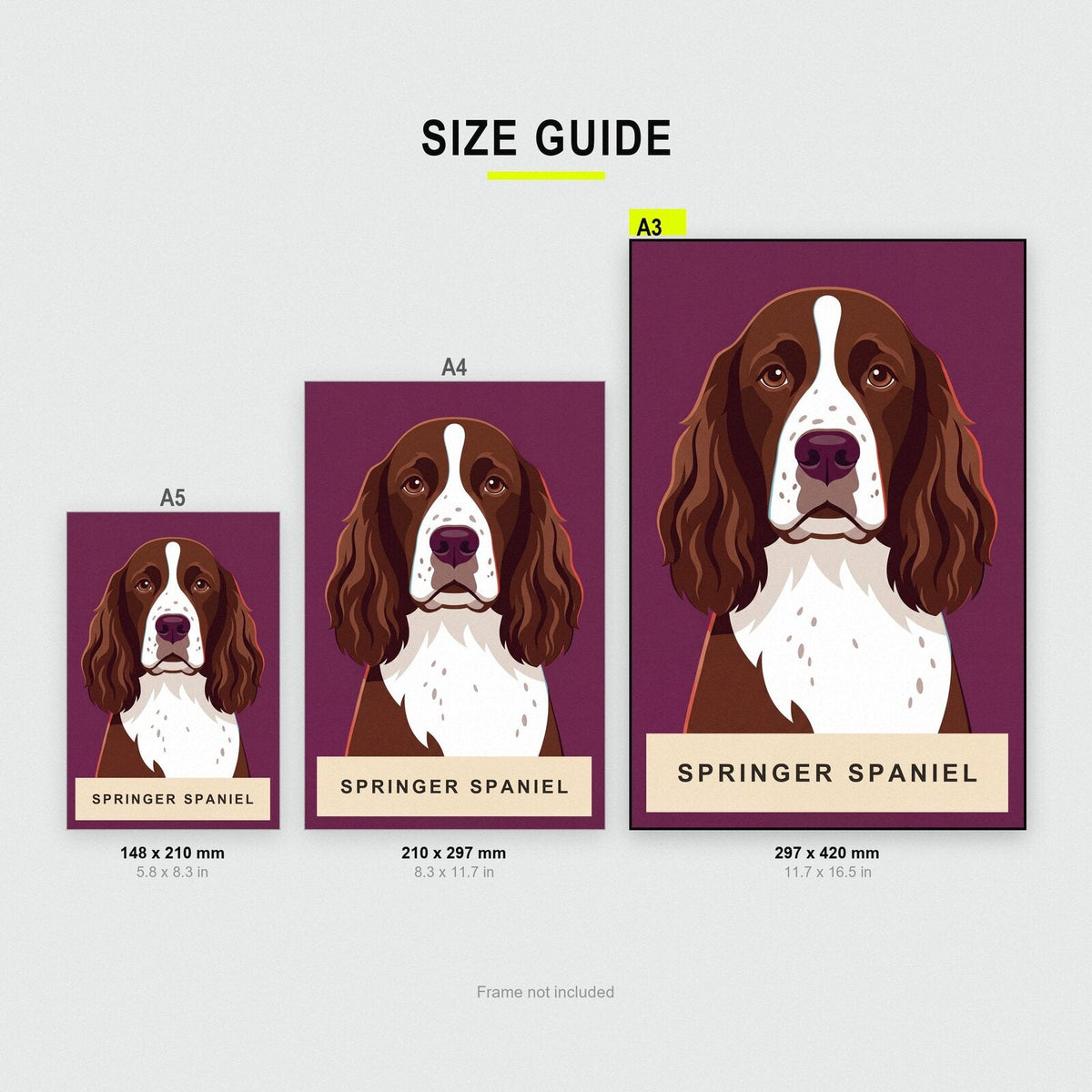 Springer Spaniel Dog Portrait Art Print