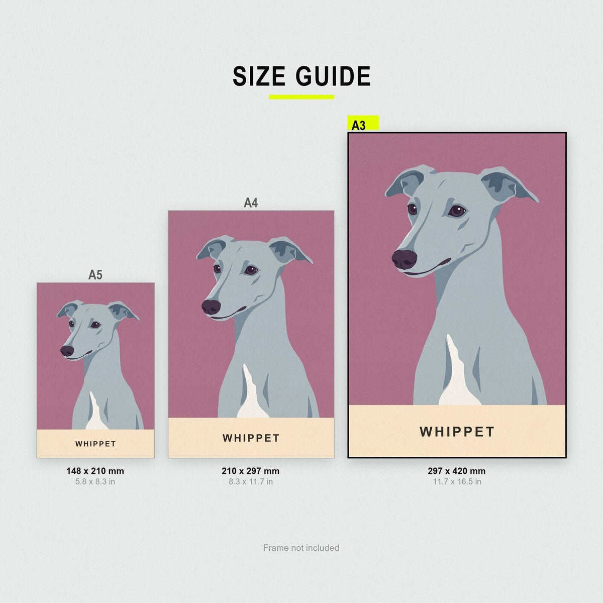 Whippet Dog Portrait Art Print
