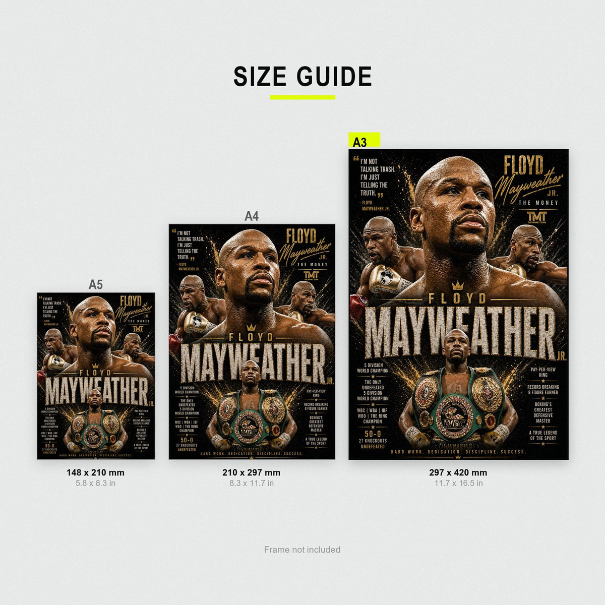 Floyd Mayweather Jr. "The Money" Boxing Poster size guide showing A3, A4 and A5