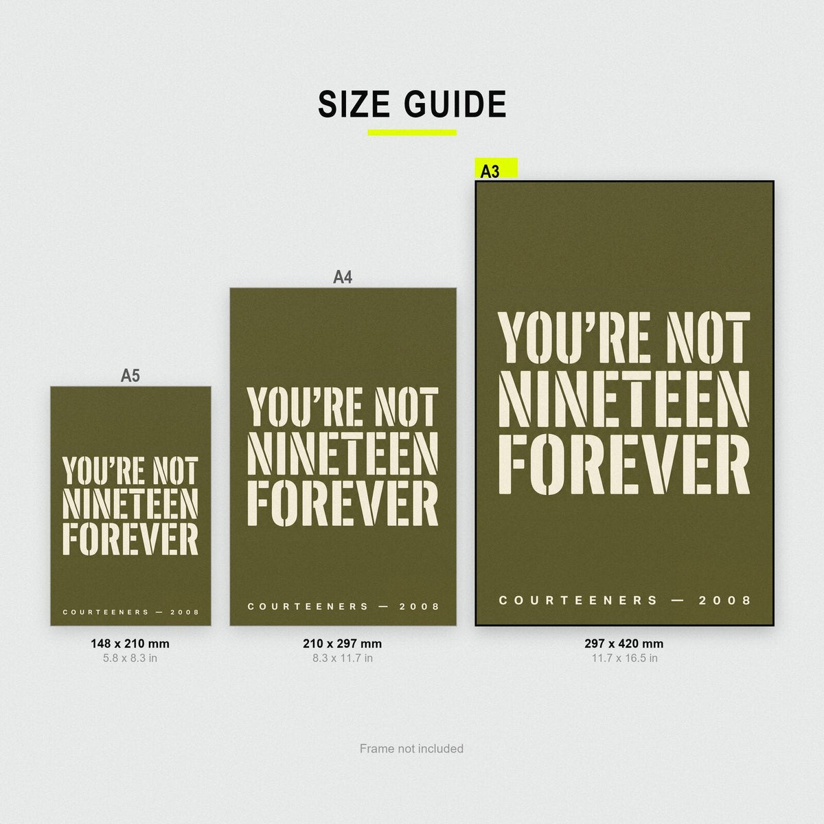 Not Nineteen Forever Courteeners Lyrics Print